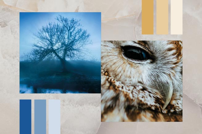 Premium Brand Design, Heilpraktiker. Stimmung/Mood