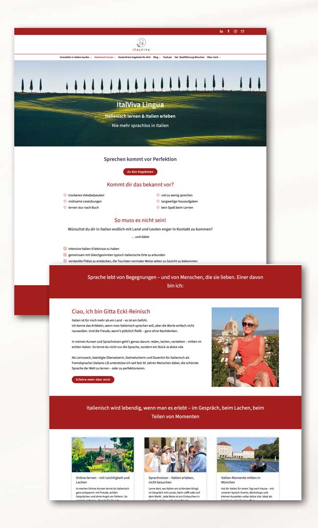 Website Relaunch, Vorherbeispiel