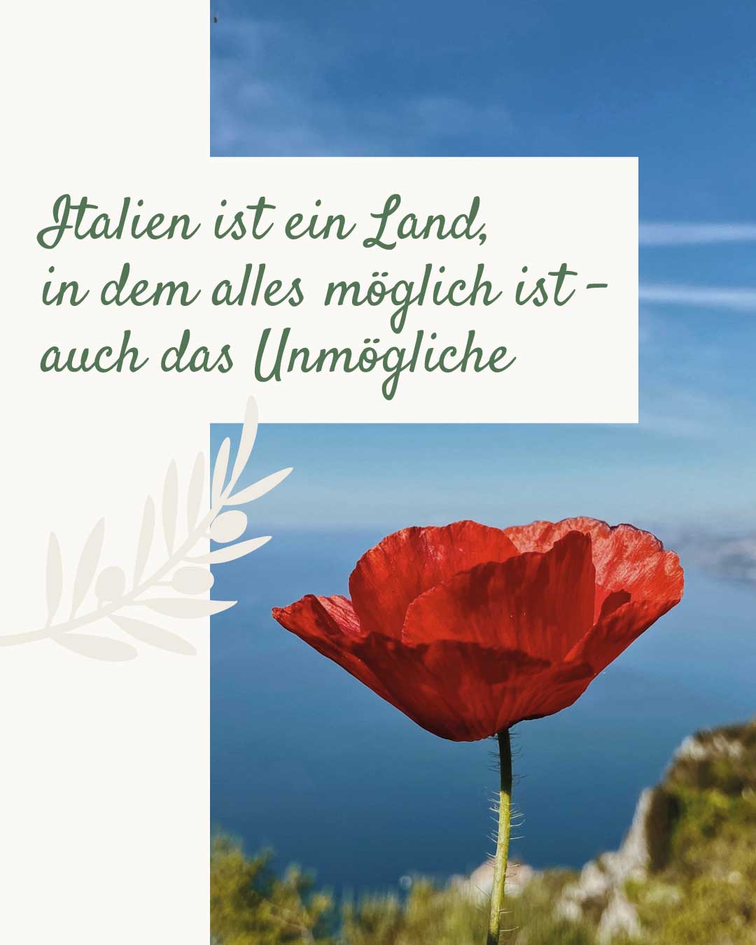 Markenrelaunch, Zitat